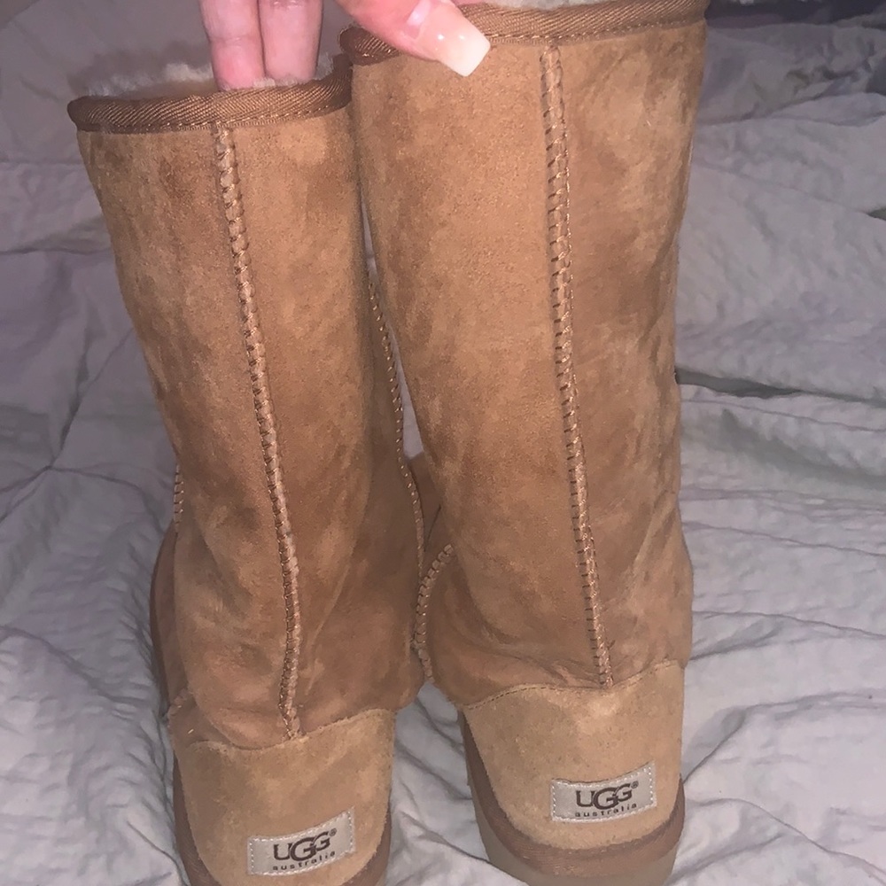 Tall Chestnut Uggs